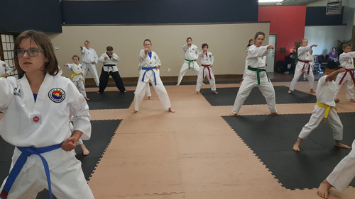Taekwondo Training Mats