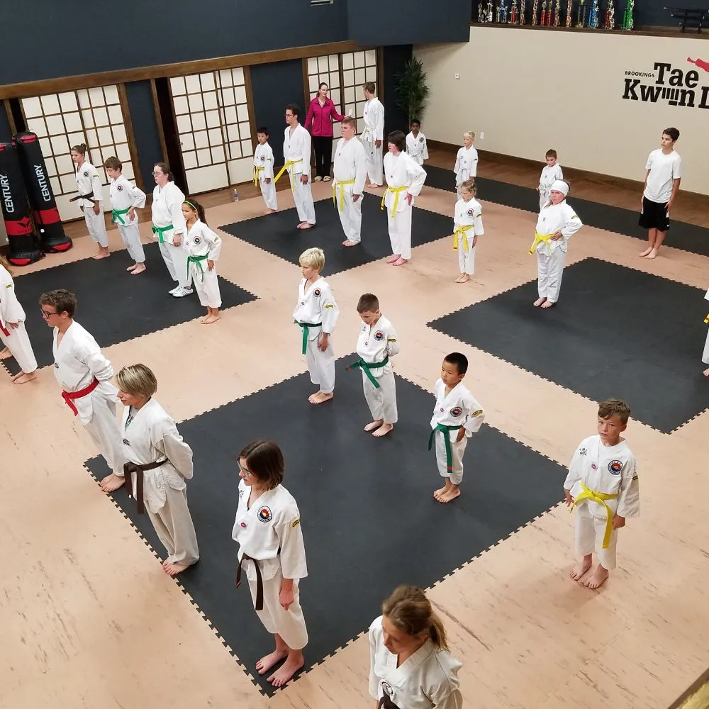 south dakota taekwondo mats