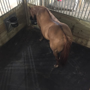 rubber horse stall mats