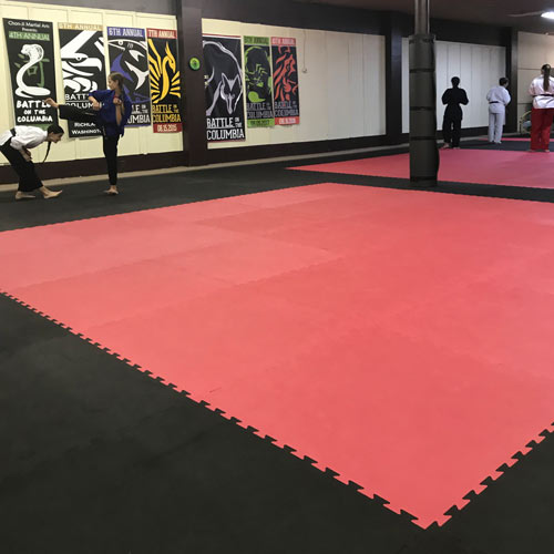 TKD Training Mats