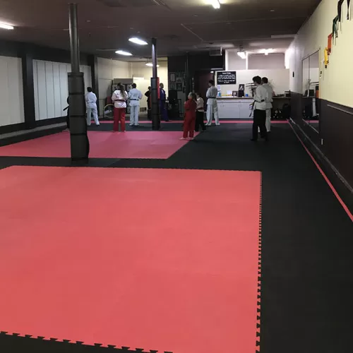 chon-ji using long lasting martial arts mats