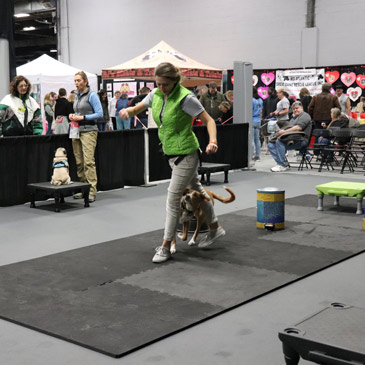 dog weaving training mat