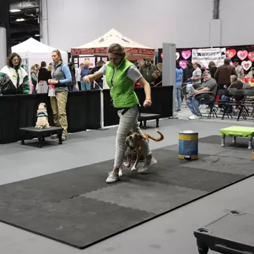 dog agility mats interlocking tiles