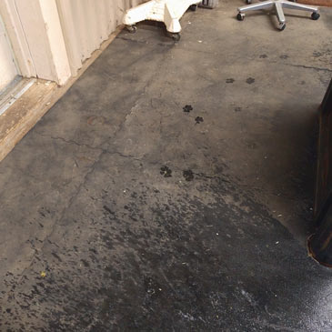 Clovis Veterinary Hospital interlocking rubber mats 2