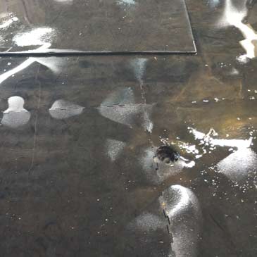 how to clean rubber horse stall mat