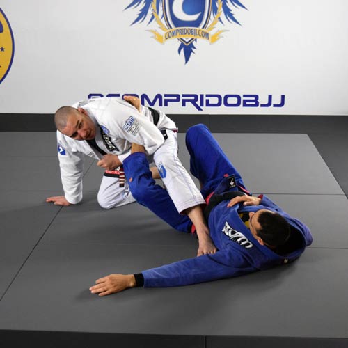 Brazilian Jiu Jitsu Basics