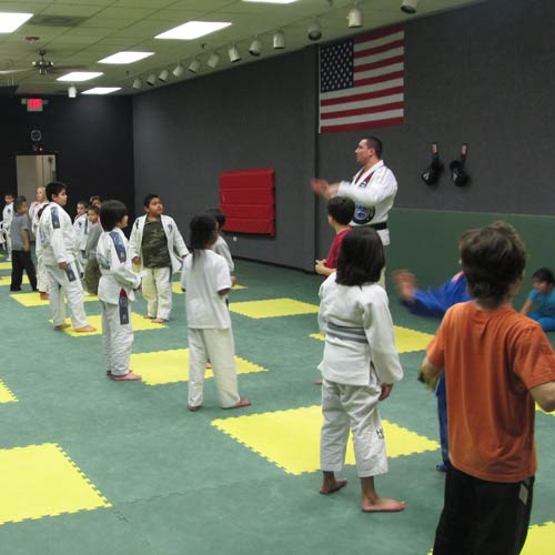 The Best Brazilian Jiu Jitsu Puzzle Mats