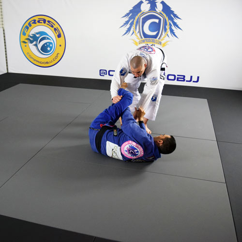 Brazilian Jiu Jitsu Techniques