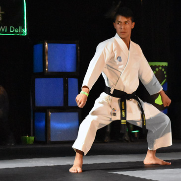 Leather Texture Martial Arts Floor