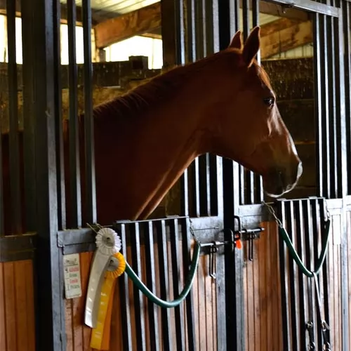 Cottonwood Riding Club Greatmats Horse Stall Mat Kits