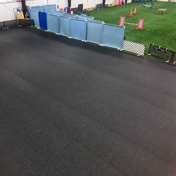 Doggie Daycare loves the Rubber Flooring