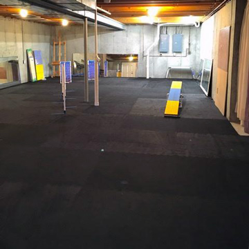 Home Dog Agility Training Flooring in Basement
