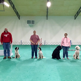 Interlocking Dog Agility Mats