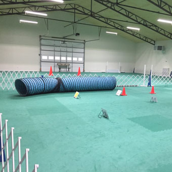 Dog Agility EVA Foam Mats