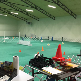 Dog Agility EVA Foam Flooring
