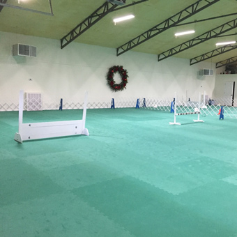 Green Flooring Safe for Indoor Lure Courses