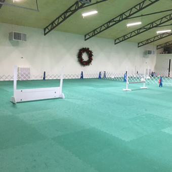 Home Dog Training Mats