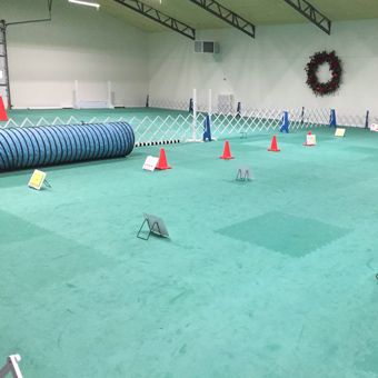 Dog Agility Training Center with Foam Mats for Floor
