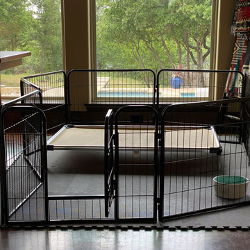 What to Put under Dog Crate to Protect Hardwood Floors?