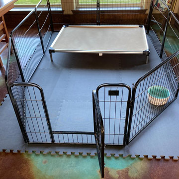 What to Put under Dog Crate to Protect Hardwood Floors?