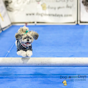 Interlocking Dog Lure Course Flooring