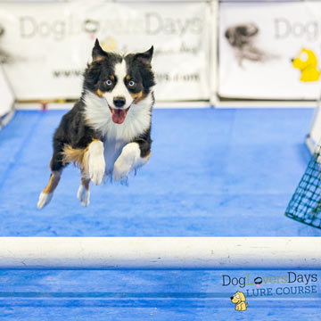 Indoor Lure Coursing Matting