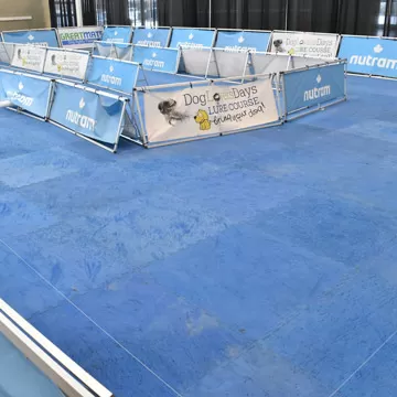 Dog Lovers Lure Course using Greatmats dog agility interlocking floor mats