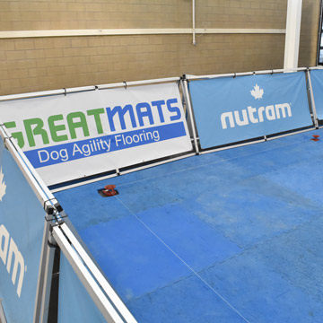 flooring for dog shows and competitions