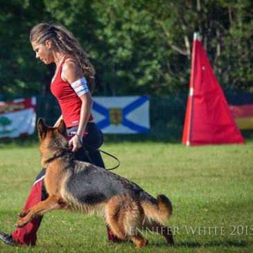 Windy Pool Training Schutzhund