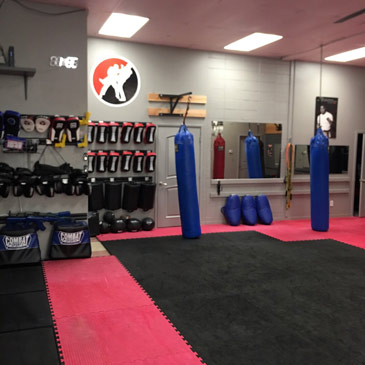 Dogo Krav Maga with Greatmats Judo Lite Mats 2