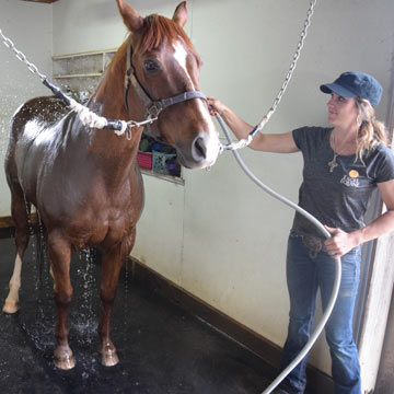 Horse Wash Stall Flooring