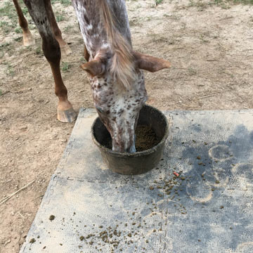 eva interlocking stable mats