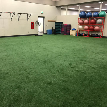 Fitness room with artificial turf - Ferris State