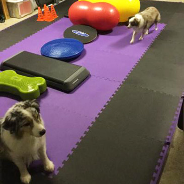 Kids Foam Floor Tiles