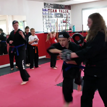Freestyle Martial Arts Surface