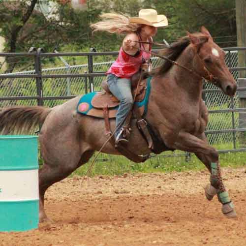 Gracie Shepherd and Rosie Round a Barrel