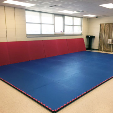 Home Training Studio with Large Grappling BJJ Judo Mats
