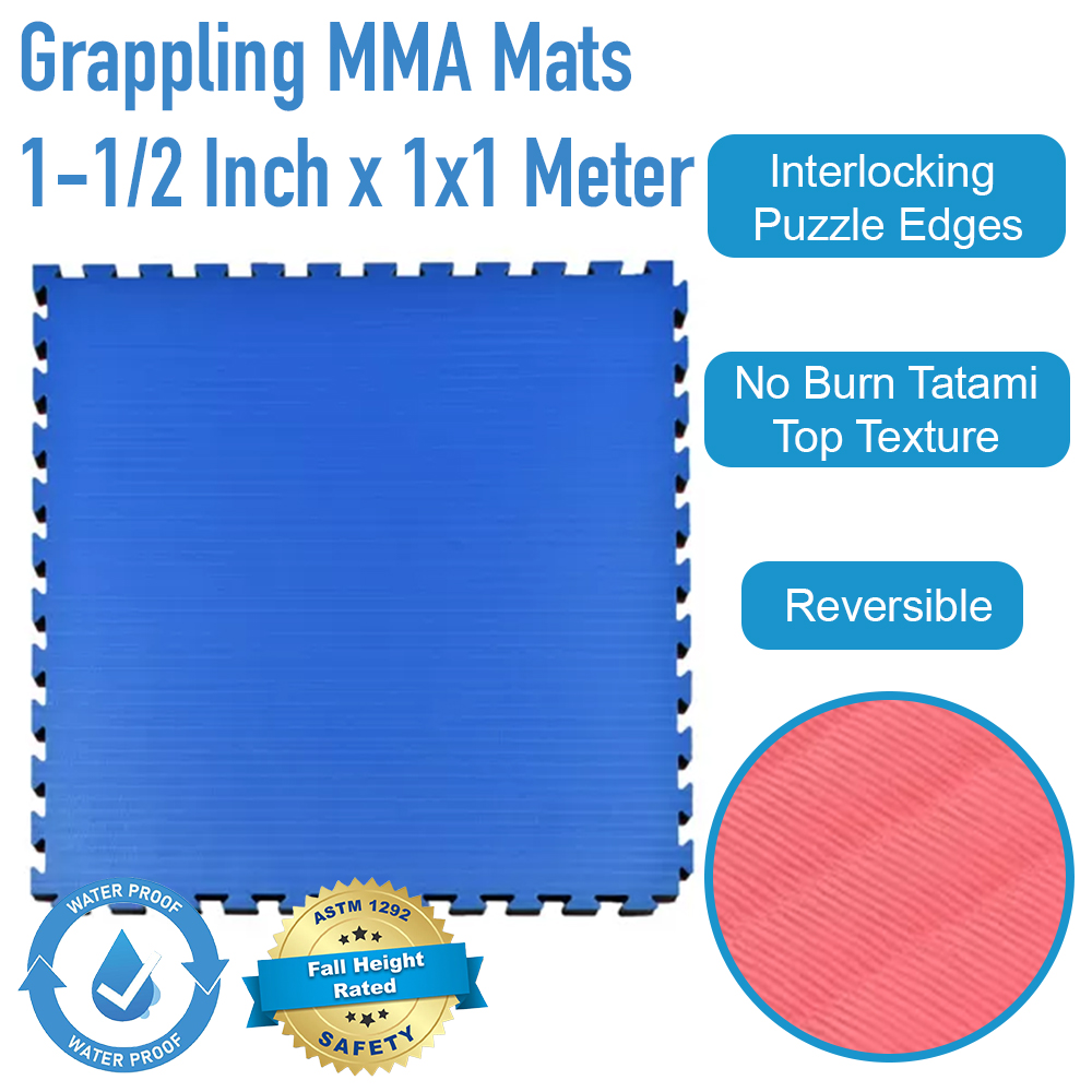 Grappling MMA Mat infographic