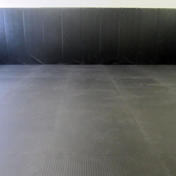 MMA Mats for Sale