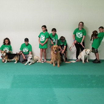 Green dog agility mats interlocking tiles