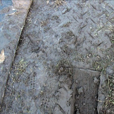 grass protection mats