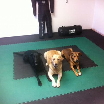Home Grappling Mats