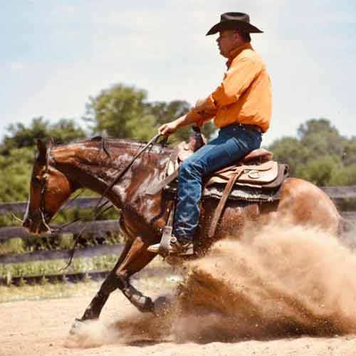 Horse Stall Mats 10x10 Ft Kit