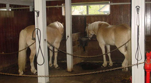 Humane rubber horse stall flooring