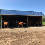 stall mats flooring for a run-in shed