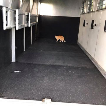 horse trailer rubber mats