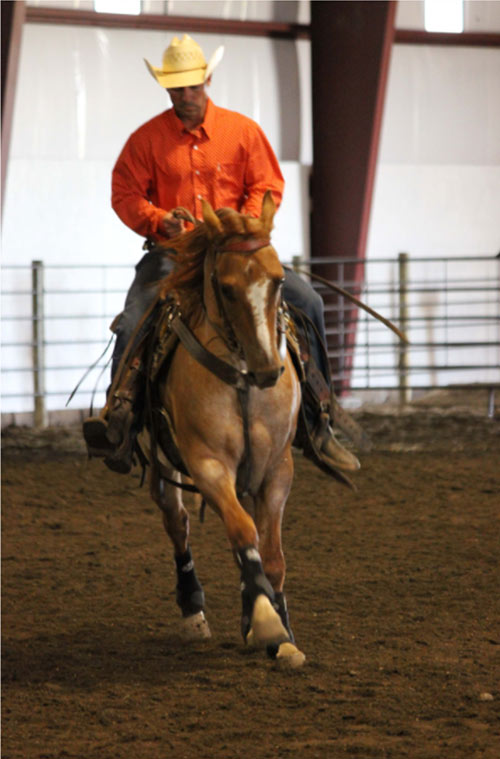 Cody Keller of Keller Horse Training