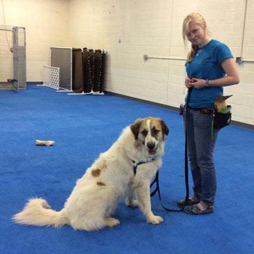 House of Dog Training Kate and Dennis