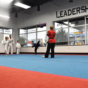 Hudson Martial Arts Academy