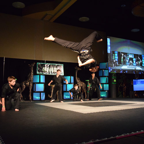 Martial Arts Tricking Mats at Infinity National Championships